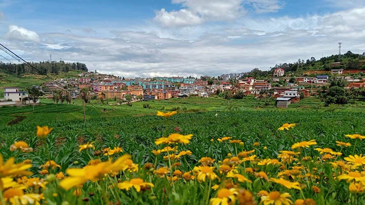 【918博天堂·(中国区)官方网站岁月】笃行不辍谋发展，砥砺奋进谱新篇——平煤故事（一）