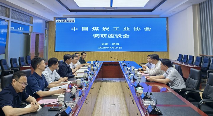 中国煤炭工业协会到918博天堂·(中国区)官方网站集团调研
